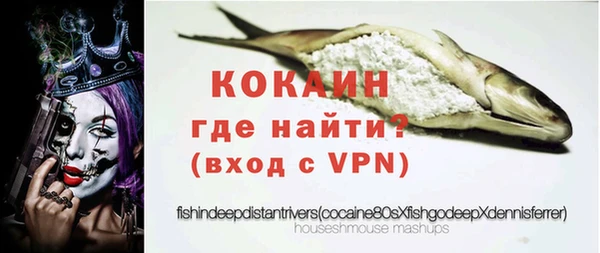 шишки Абаза