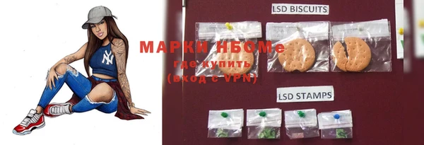 шишки Абаза