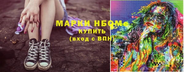шишки Абаза