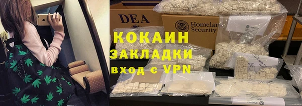 шишки Абаза